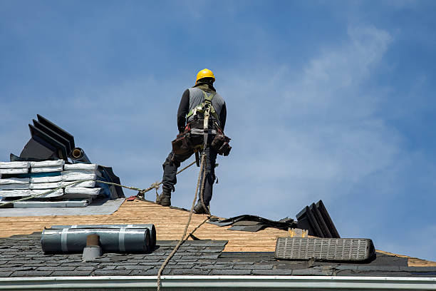 Professional Roof Replacement technician working in Camanche, IA